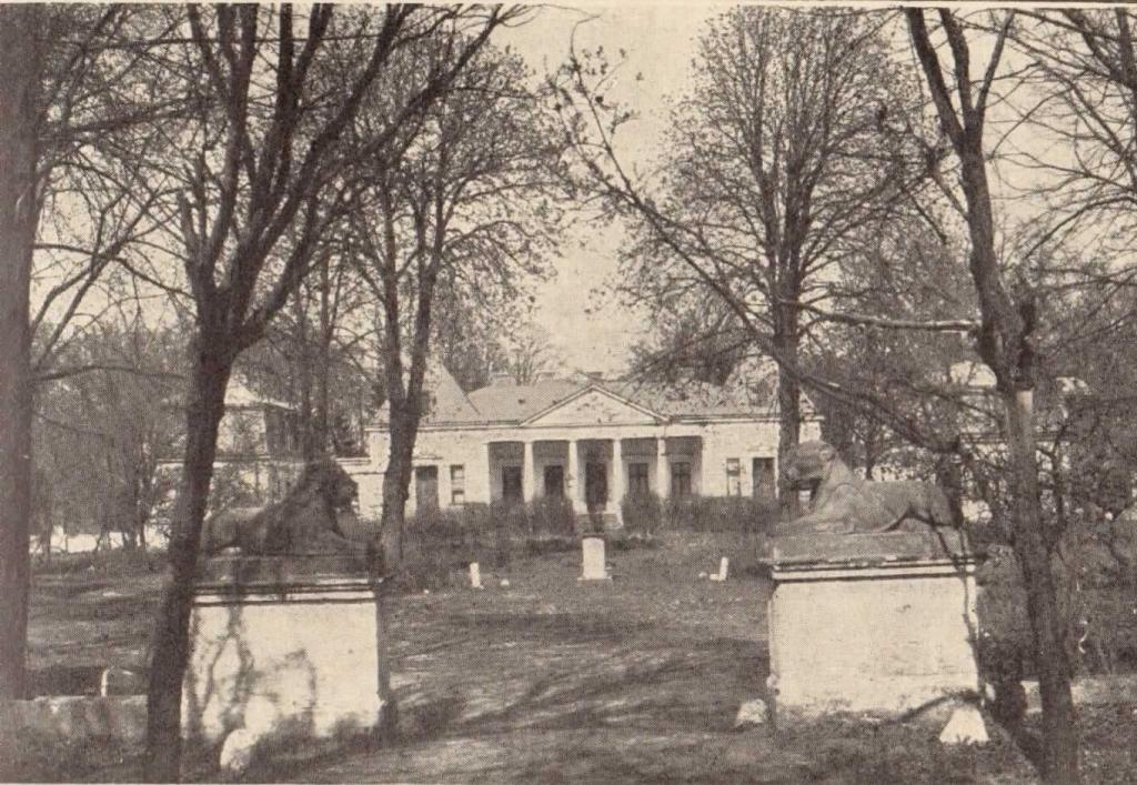 Archiwum zdjęć — Muzealna