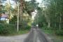 Truskolaska — zdjęcie 1