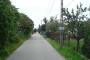 Hortensji — zdjęcie 1