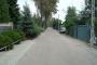Goździków — zdjęcie 1
