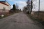 Ananasowa — zdjęcie 1